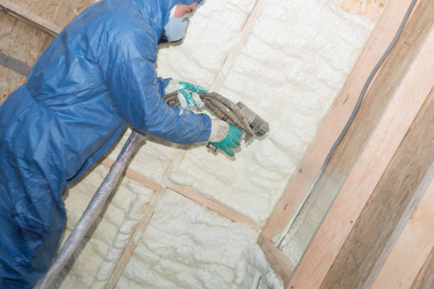 Best Radiant Barrier Insulation  in Plantation, FL